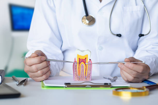Best Weekend Emergency Dentist in Kingston, PA